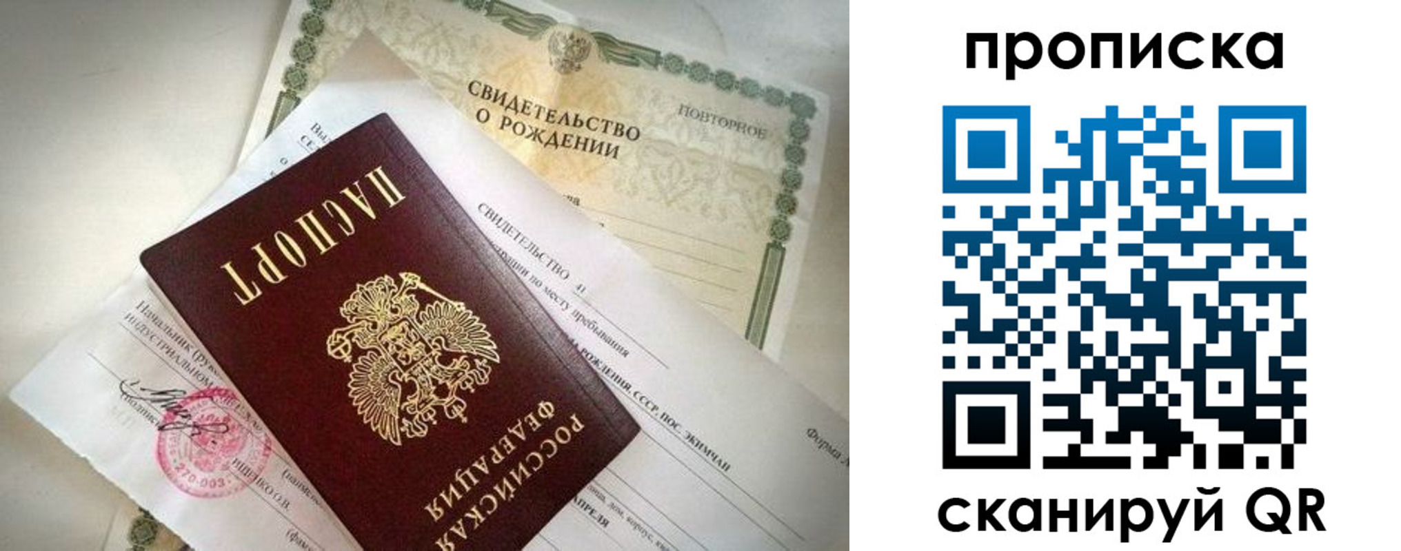 прописка гарантия в Брянской области
