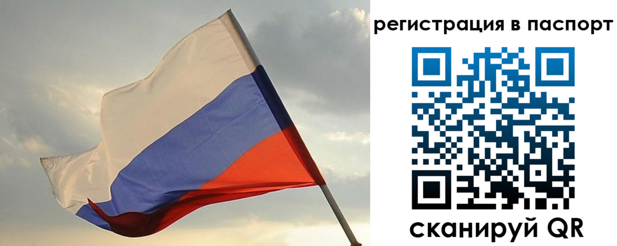 форма 3 в Брянской области